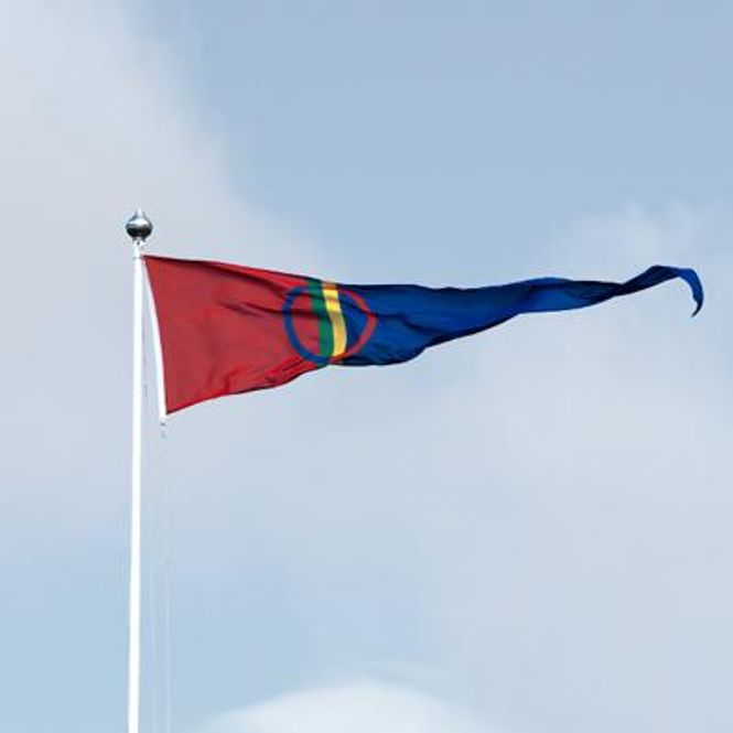 Hovedbilde Sameflagg- Vimpel