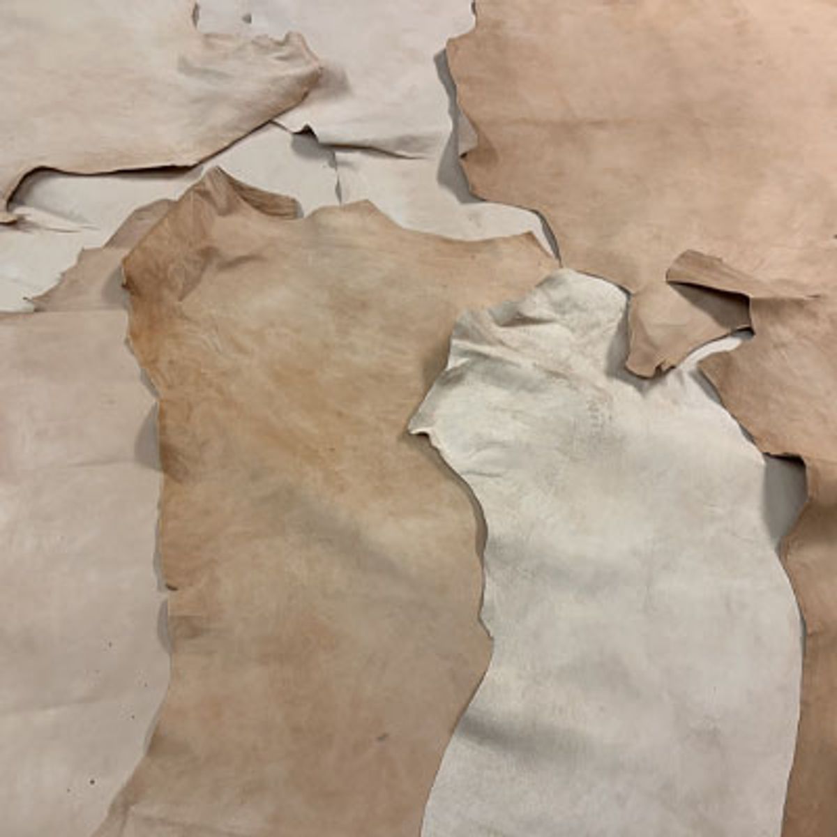 Rimelige reinskinn- Lys farge